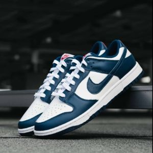 COPY - Nike dunk low "Valorian Blue" sz 11 NIB